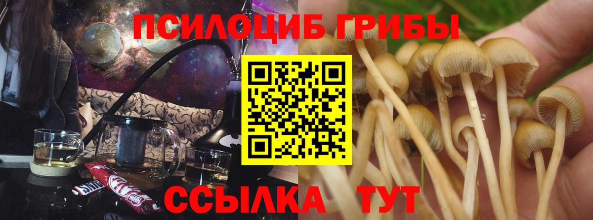 Урюпинск  Псилоцибиновые грибы Magic Shrooms  Вход с VPN 
