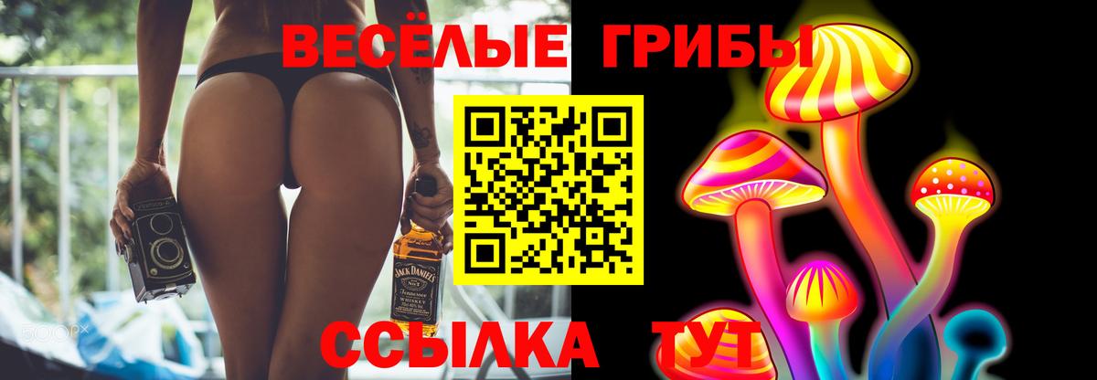 Псилоцибиновые грибы GOLDEN TEACHER Урюпинск